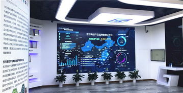 大数据技术在产品追溯中的关键作用与发展路径